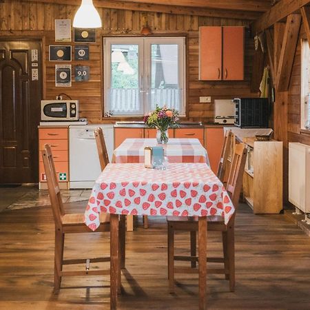 Agroturystyka Pod Modrzewiami Nowy Tomyśl 외부 사진