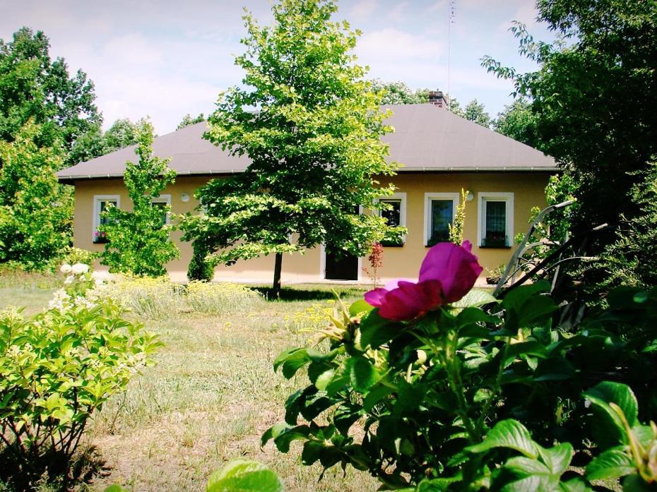 Agroturystyka Pod Modrzewiami Nowy Tomyśl 외부 사진